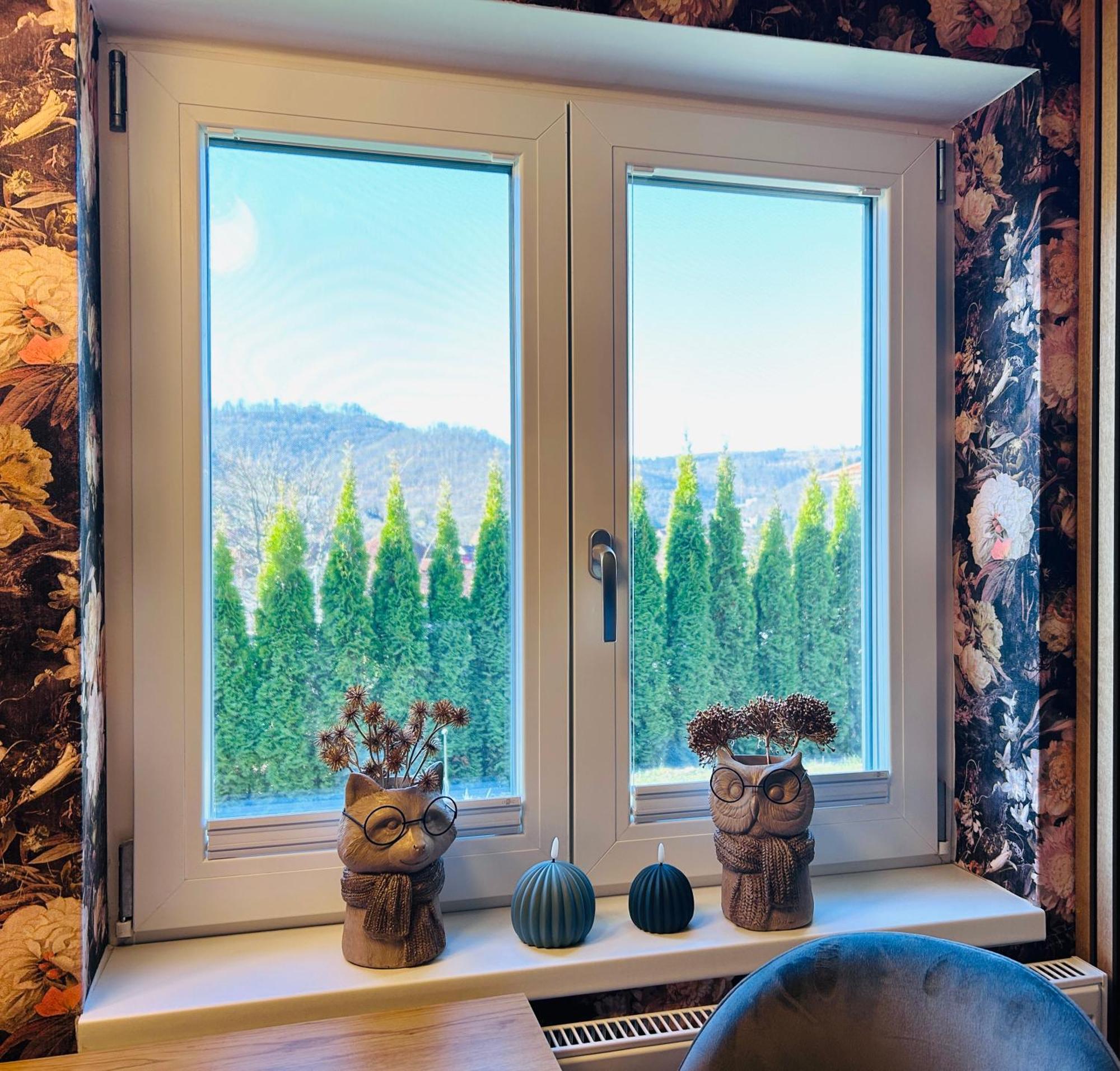 Wohnung Goethe'S Bergblick Bad Harzburg Esterno foto